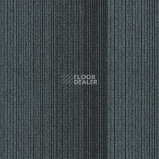 Ковровая плитка Interface Straightforward II 4268003 Lead фото 1 | FLOORDEALER